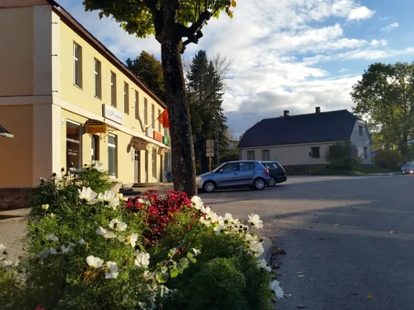 The street view