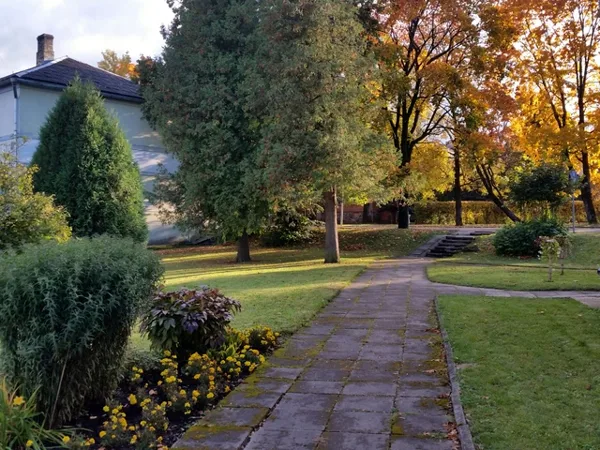 The yard view