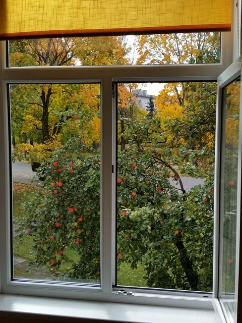 View from the bedroom window